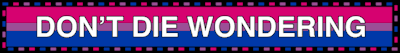 bisexual flag blinkie that says don't die wondering