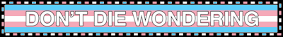 transgender flag blinkie that says don't die wondering