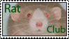 picture of a rat with green text saying rat club stamp