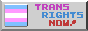 button that says trans rights now